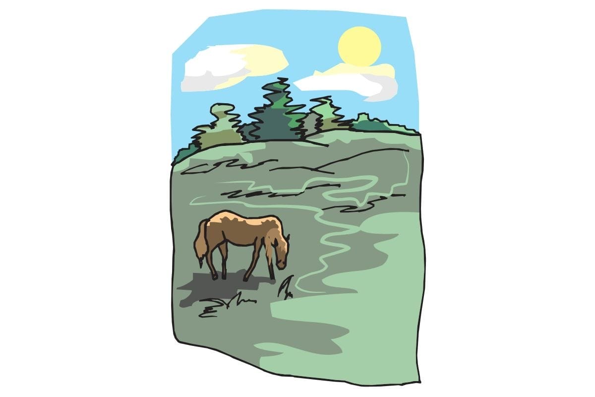 The cursed horse